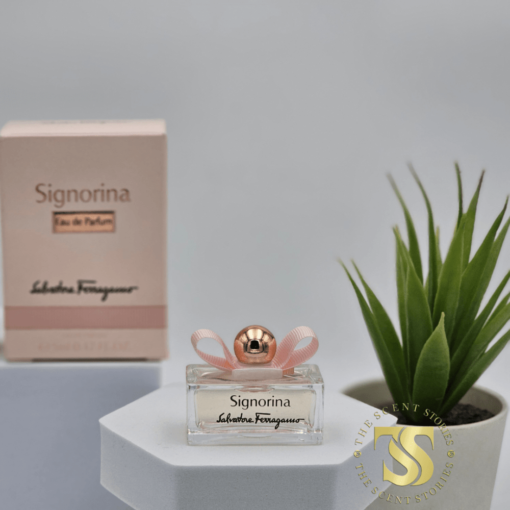 SF Signorina